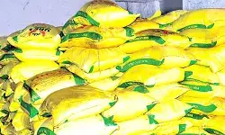 సింగిల్ విండోలో గందరగోళం.. 103 బస్తాల యూరియా మాయం