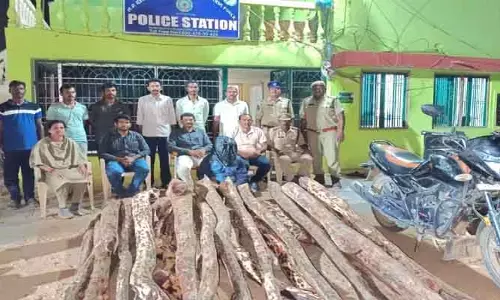 Red Sandal Wood Smuggling: ఉద్దిమడుగులో ఎర్రచందనం స్లగ్లింగ్..టాస్క్ ఫోర్స్ రైడ్స్