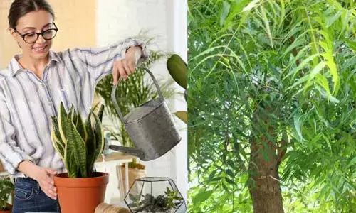 Air quality : ఇంట్లో గాలి కాలుష్యమా? జర భద్రం!