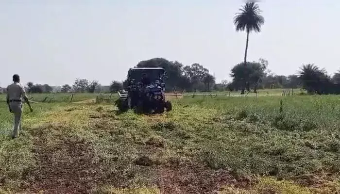 Farmer: 20 ఎకరాల పంటను ధ్వంసం చేసిన ఆఫీసర్స్.. అక్కడిక్కడే కుప్పకూలిన రైతు Farmer: 20 ఎకరాల పంటను ధ్వంసం చేసిన ఆఫీసర్స్.. అక్కడిక్కడే కుప్పకూలిన రైతు
