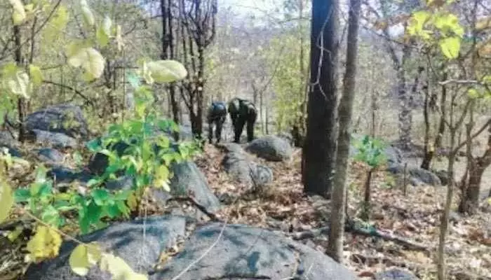 Maoists: నలుగురు మహిళా మావోయిస్టుల మృతి.. మధ్యప్రదేశ్లో ఎన్కౌంటర్ Maoists: నలుగురు మహిళా మావోయిస్టుల మృతి.. మధ్యప్రదేశ్లో ఎన్కౌంటర్