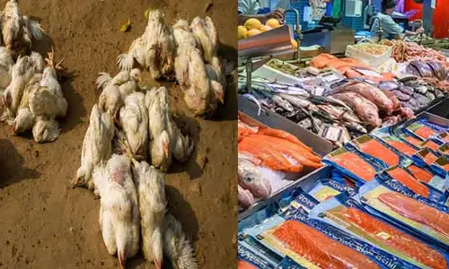 Musheerabad Fish Market : బర్డ్ ఫ్లూ ఎఫెక్ట్.. కిటకిటలాడిన చేపల మార్కెట్లు
