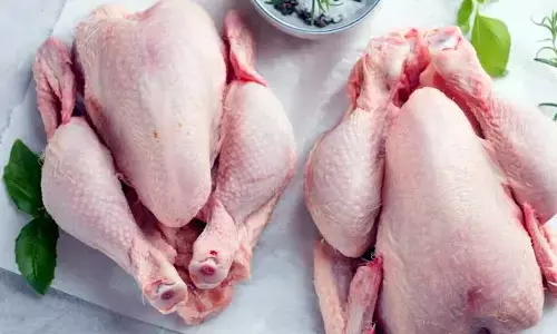 Chicken: ఊపందుకున్న చికెన్ సేల్స్.. పెరిగిన ధర