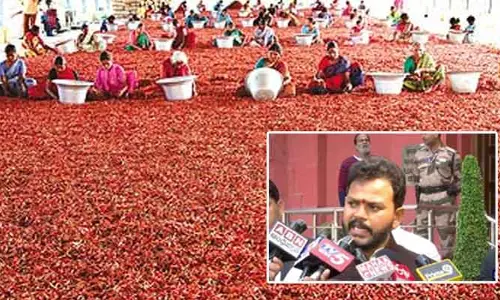 మిర్చి క్వింటాకు రూ.11,600 ఇవ్వాలని కోరాం..