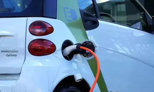New EV Policy: కొత్త ఈవీ పాలసీ ఊహాగానాలతో దేశీయ వాహన కంపెనీలపై ఒత్తిడి