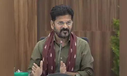 CM Revanth Reddy: ఇంత కష్టపడ్డా నన్ను విలన్‌ను చేస్తున్నారు.. కాంగ్రెస్ నేతలపై సీఎం ఫైర్