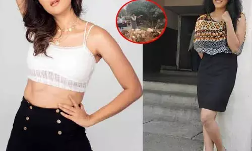 గొర్రెలు మేపుకుంటున్న టాలీవుడ్ యంగ్ హీరోయిన్.. పాపం ఎంత కష్టం వచ్చిందంటూ నెటిజన్ల కామెంట్స్!
