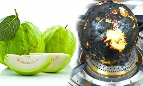 ఈ కాయను కాల్చి తినడం వల్ల కలిగే అద్భుత ప్రయోజనాలు తెలిస్తే షాక్ అవ్వాల్సిందే..