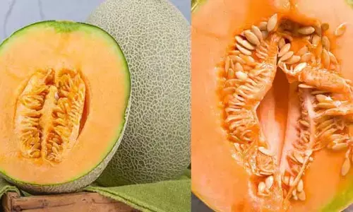 Musk Melon : గింజలే కానీ.. తింటే ఎన్ని లాభాలో..