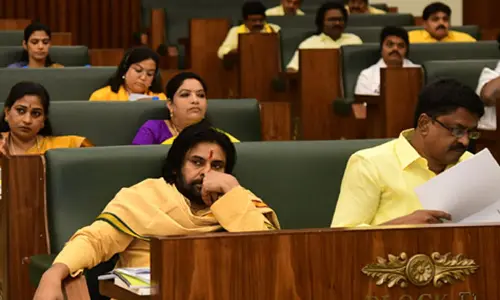 Pawan kalyan : పక్కాగా మీకు ప్రతిపక్ష హోదా రాదు.. తేల్చి చెప్పిన పవన్ కళ్యాణ్
