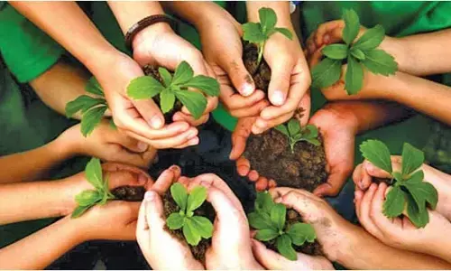 అమ్మ కోసం ఒక చెట్టు.. వన మహోత్సవానికి వేళాయే