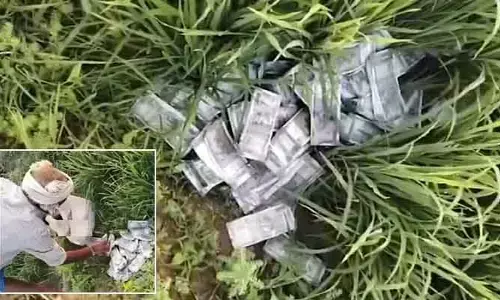 Currency Notes: పంట పొలాల్లో రూ.500 నోట్ల కట్టలు.. అసలు విషయం ఇదే!