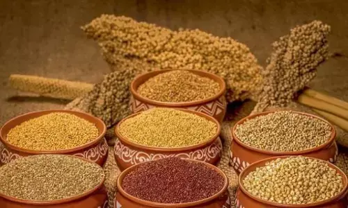 Millets: మిల్లెట్స్ ఎందుకు తినాలి?
