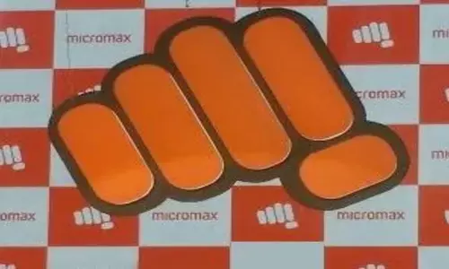 Micromax: పునరుత్పాదక రంగంలోకి అడుగుపెట్టిన మైక్రోమ్యాక్స్