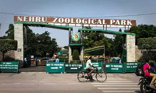 Zoo Park Entry Fee : పర్యాటకులకు షాక్.. భారీగా పెరిగిన ఎంట్రీ ఫీజులు