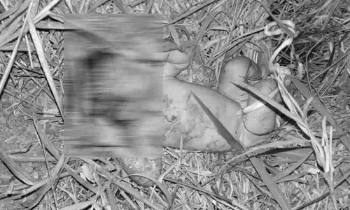 Child in thorns: తల్లి పొత్తిళ్లలో ఉండాల్సిన బిడ్డ.. ప్రాణంతోనే ముళ్లపొదల్లో..