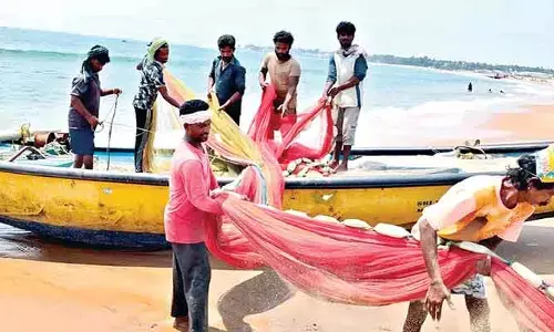 Good News: మత్స్యకారులకు రూ. 20 వేలు