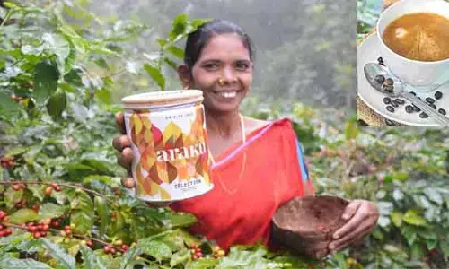 Araku Coffee : ప్రపంచ మార్కెట్ లోకి అరకు కాఫీ