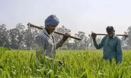 Madhya Pradesh: మధ్యప్రదేశ్ రైతులకు గుడ్ న్యూస్ చెప్పిన సీఎం