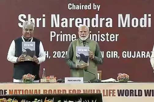 PM Modi: మే నెలలో సింహాల గణన: ప్రధాని మోడీ PM Modi: మే నెలలో సింహాల గణన: ప్రధాని మోడీ