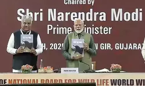 PM Modi: మే నెలలో సింహాల గణన: ప్రధాని మోడీ