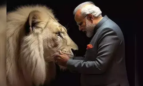 సింహం, ప్రధాని మోడీ ఒకే ఫ్రేమ్‌లో.. కలిసి ఆడుకున్న వీడియో వైరల్‌
