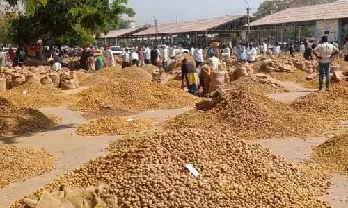 నిజామాబాద్ మార్కెట్ కు పోటెత్తిన పసుపు