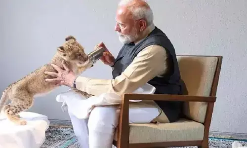 Pm modi: ‘వంటారా’ను ప్రారంభించిన మోడీ.. సింహం, పులి పిల్లలతో సదరాగా గడిపిన ప్రధాని