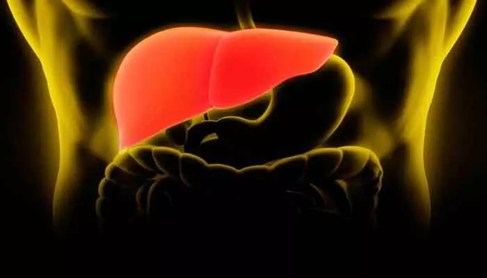 Fatty liver: చిన్నపిల్లల నుంచి వృద్ధుల వరకు పట్టిపీడిస్తోన్న ఫ్యాటీ లివర్.. ఇలా చేయాల్సిందేనంటున్నారు నిపుణులు? Fatty liver: చిన్నపిల్లల నుంచి వృద్ధుల వరకు పట్టిపీడిస్తోన్న ఫ్యాటీ లివర్.. ఇలా చేయాల్సిందేనంటున్నారు నిపుణులు?