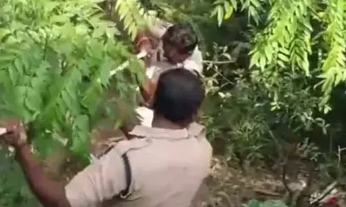 సడన్‌గా లోయలో దూకిన వ్యక్తి.. ఖంగుతున్న శ్రీవారి భక్తులు