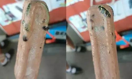 Frozen Snake in IceCream : ఐస్క్రీంలో పాము.. షాక్ అవుతున్న నెటిజన్స్