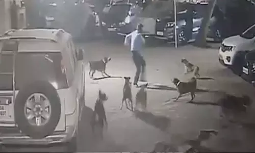 Viral video: కుక్కలతో కాదు.. వీళ్లతోనే యమ డేంజర్.. అసలేం జరిగిందో చూడండి!