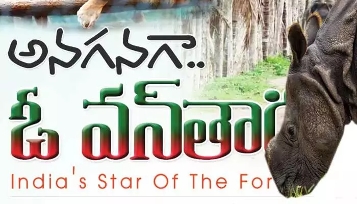 vantara jamnagar: అనగనగా.. ఓ వన్తార Indias Star Of The Forest vantara jamnagar: అనగనగా.. ఓ వన్తార Indias Star Of The Forest