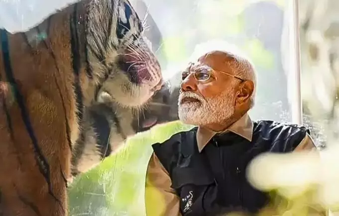 Tiger Reserve: మధ్యప్రదేశ్లో 58వ టైగర్ రిజర్వ్ ఏర్పాటును ప్రశంసించిన ప్రధాని మోడీ Tiger Reserve: మధ్యప్రదేశ్లో 58వ టైగర్ రిజర్వ్ ఏర్పాటును ప్రశంసించిన ప్రధాని మోడీ