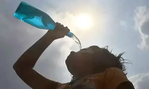 Sunstroke: హీట్‌వేవ్‌పై సర్కార్ అలర్ట్.. వారికి ఎక్స్‌గ్రేషియా పెంచిన ప్రభుత్వం.. ఎంతంటే?