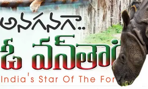 vantara jamnagar: అనగనగా.. ఓ వన్‌తార  Indias Star Of The Forest