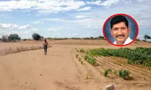 రాయలసీమలో కరువు పరిస్థితులు.. కేంద్రానికి ఎంపీ కీలక విజ్ఞప్తి