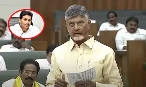 తల్లికీ, చెల్లికి ఆస్తిలో వాటా.. అసెంబ్లీలో సీఎం చంద్రబాబు కీలక వ్యాఖ్యలు