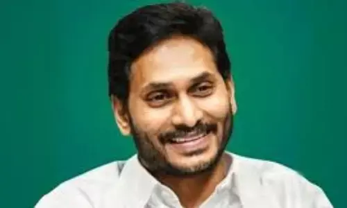 YS Jagan: అసెంబ్లీ సమావేశాల వేళ వైఎస్ జగన్ రెజ్యూమ్ వైరల్.. స్కిల్స్ చూస్తే అదుర్స్
