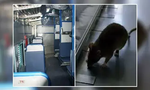 Indian Railways : ఏసీ కోచ్ లో ఎలుకలు.. మండిపడిన ప్రయాణికుడు