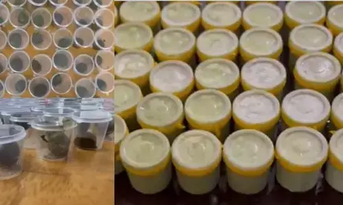 ganja  ice creams: హోలీ ముసుగులో గంజాయి దందా.. ఈ సారి ఏకంగా గంజాయి ఐస్ క్రీమ్ లు..