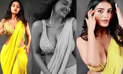 Ananya Nagalla: ఫ్రంట్ బ్యాక్ అందాలతో మతిపోగుడుతోన్న మల్టీటాలెంటెడ్ హీరోయిన్..?