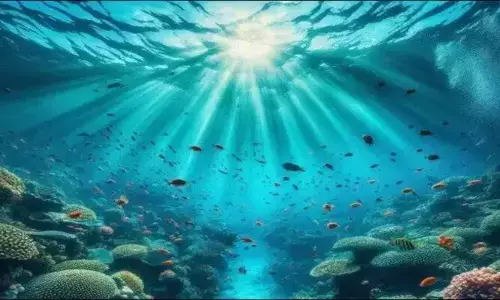 Scientist Discoveries: సముద్రంలో వేల అడుగుల లోతున దొరికిన వింత వస్తువులు! శాస్త్రవేత్తలు కూడా షాక్