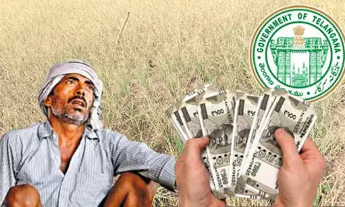 Compensation: అన్నదాతలకు బిగ్ రిలీఫ్.. వారందరికీ సర్కార్ నష్ట పరిహారం!
