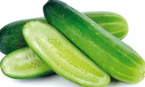 Summer : సమ్మర్ స్టార్ట్ అయిపోయింది .. ఈ కూరగాయను అధికంగా తీసుకోవాలంటున్న నిపుణులు