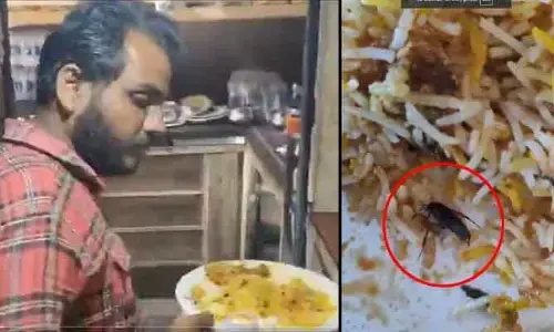 Trending: పొగలుకక్కుతోన్న బిర్యానీ.. తీరా లోపల చూస్తే బొద్దింక