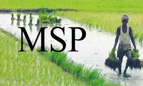 సాగుకు ఆక్సిజన్.. చట్టబద్ధ ఎం‌ఎస్‌పి