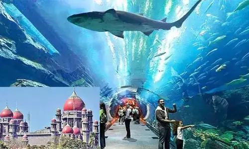 Aqua Marine Park : ఆక్వా మెరైన్ పార్కుపై రేణూదేశాయ్ హైకోర్టులో పిటిషన్