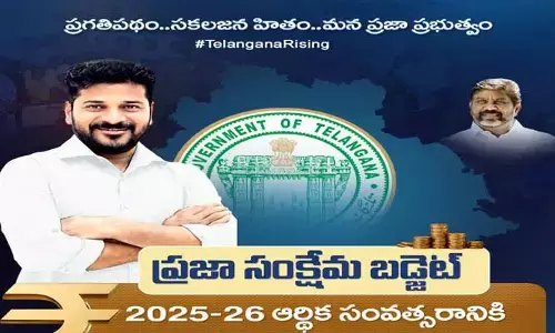 సంక్షేమ రంగానికి పెద్దపీట
