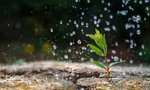 Rain smell: వర్షం వచ్చే ముందు మట్టి వాసన అంటే ఇష్టమా? మరీ అదేలా వస్తుందో తెలుసా?